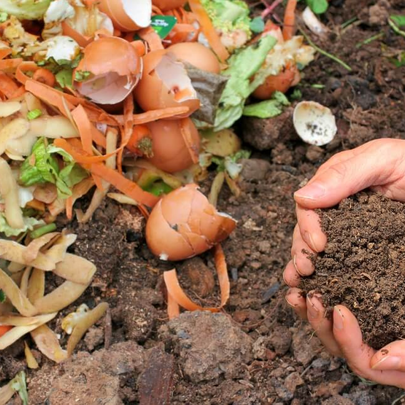 APROVECHAMIENTO DE RESIDUOS ORGANICOS